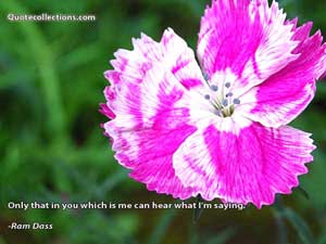 ram_dass_quotes Quotes 4